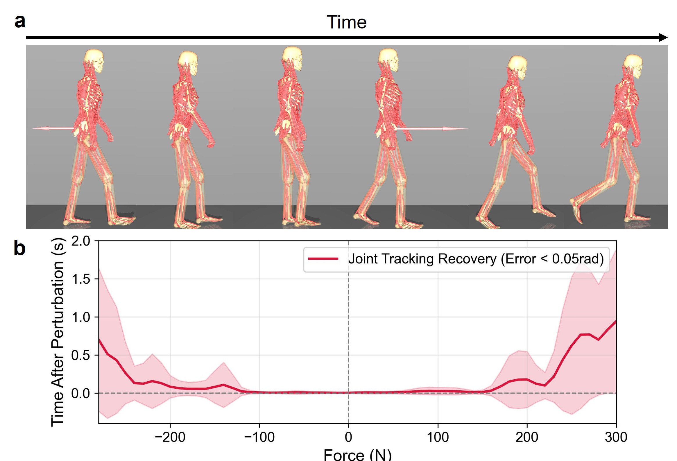 Digital human recovering from external perturbations during walking