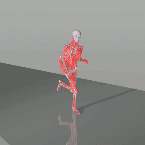 Running - Overlap