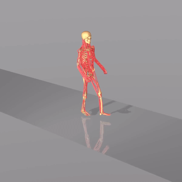 MS-Human-700 Locomotion Control with DynSyn
